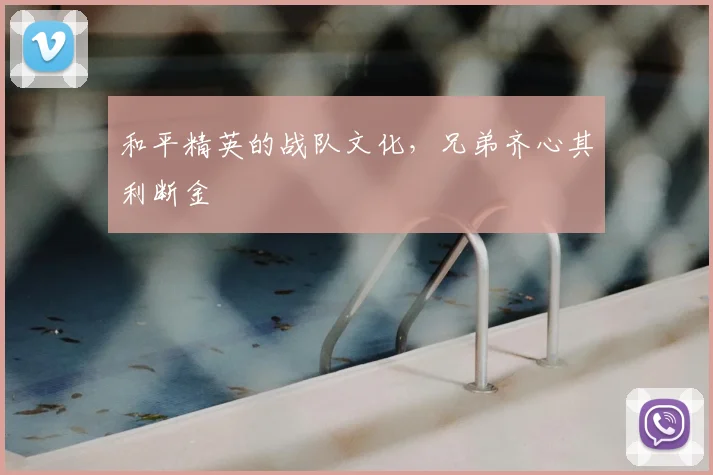 和平精英的战队文化,兄弟齐心其利断金