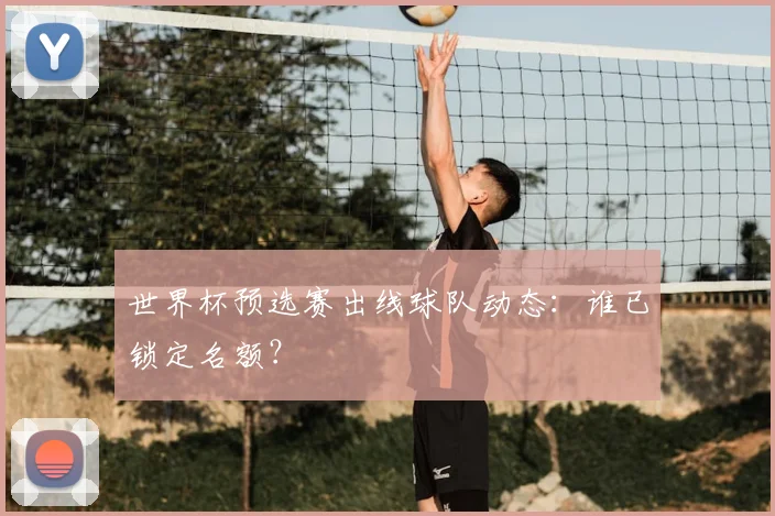 世界杯预选赛出线球队动态：谁已锁定名额？