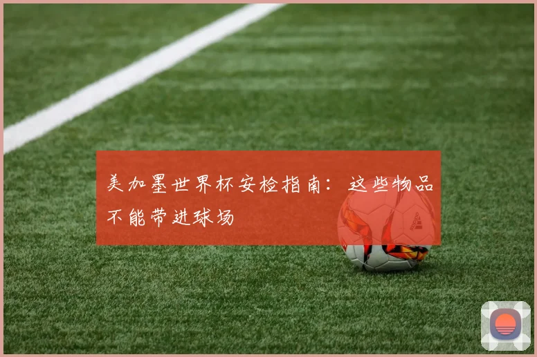 美加墨世界杯安检指南：这些物品不能带进球场