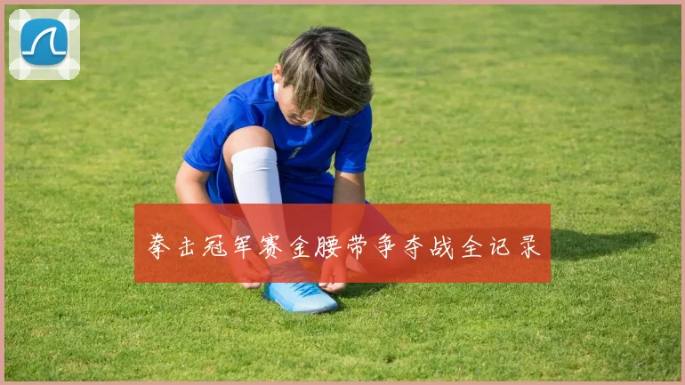 拳击冠军赛金腰带争夺战全记录