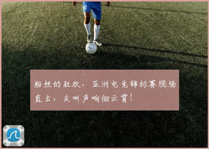 粉丝的狂欢,亚洲电竞锦标赛现场直击,尖叫声响彻云霄!
