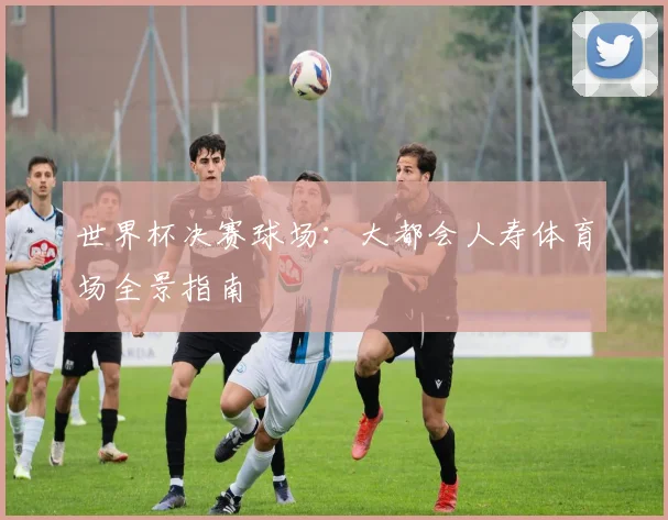 世界杯决赛球场:大都会人寿体育场全景指南