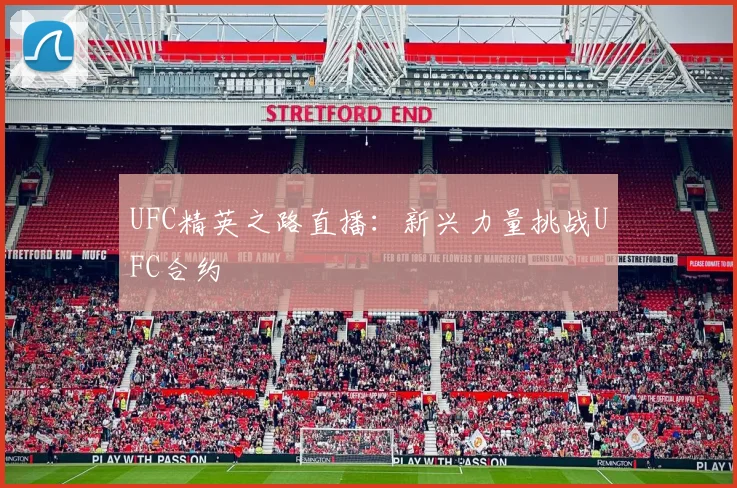 UFC精英之路直播：新兴力量挑战UFC合约