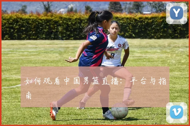 如何观看中国男篮直播：平台与指南