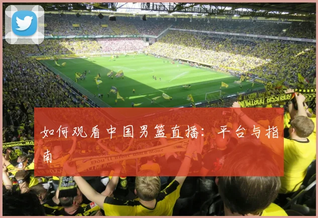 如何观看中国男篮直播：平台与指南