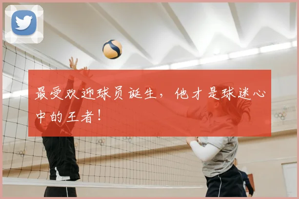 最受欢迎球员诞生,他才是球迷心中的王者!