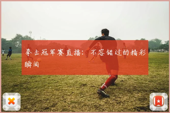 拳击冠军赛直播：不容错过的精彩瞬间