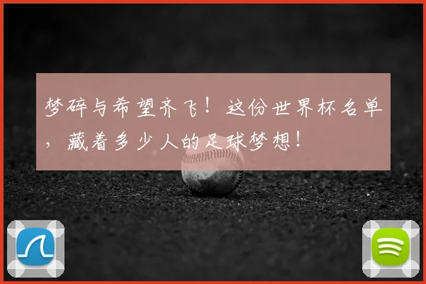 梦碎与希望齐飞！这份世界杯名单，藏着多少人的足球梦想！