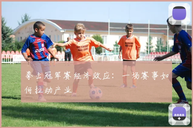 拳击冠军赛经济效应：一场赛事如何拉动产业